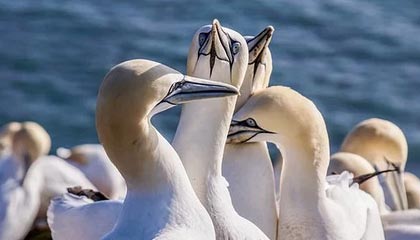 开云体育APP下载-上海男篮迎来新主教练，战术大调整，上海男篮最新主教练